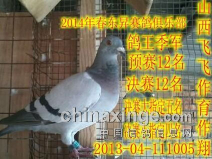 һ�������12�� ���⣿
