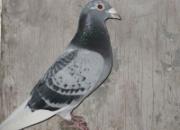 ����������������������