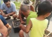 ���ֵ���ɽ��԰���г�(ͼ)