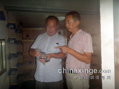 �ý��մ�����ᡪ��ʯ����(ͼ)