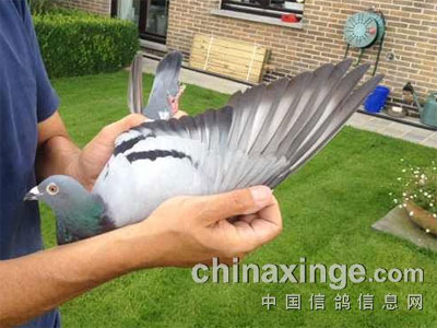 ����ʱͼ�չ��������Ǳ�ն�������ܹھ�(ͼ)