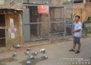 ���Ÿ��Ѽң�Ǳ���о�����(ͼ)