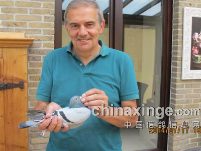 2014���ǡ��Ǳȡ���(ͼ)