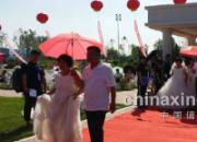 �������������ɻ����������(ͼ)