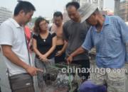 �����µ���������(ͼ)