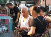 ������������Ƶ��Ŀ���������