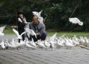 ��ƪС˵��С���˺���үү