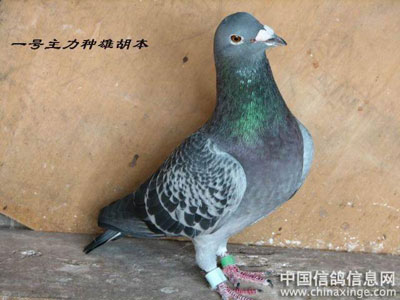 �������ۺ������� ����ʰ�ò��Ϲ黹