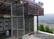 С����죺���ܼ� �޽���(ͼ)