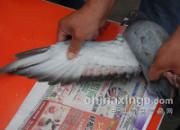 ɽ��˴����Ԫ���رȻ�����ֳ�(ͼ)