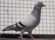 ����֮��������ͬ��������(ͼ)