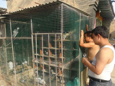 ���Ѵ��ſ����ĸ�(ͼ)