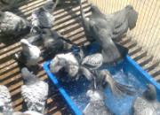 �����ļ�������������������(ͼ)