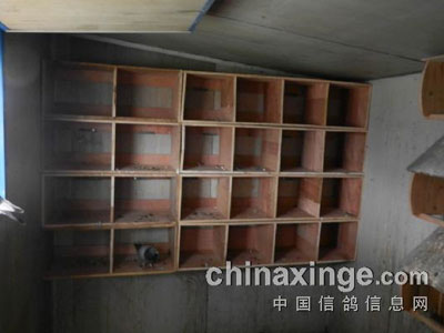 �Լ�����������(ͼ)