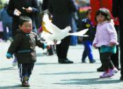 ������£�ʧ�����õġ�������