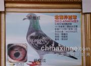 ̨��½������ھ������������(ͼ)