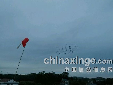 ����ɧ���һ�죺���ϴ�ѵ��(ͼ)