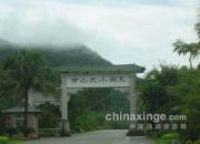 ����������(ͼ)