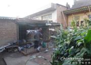 �����ڵ�ǿ�Ƽҷɹ���(ͼ)