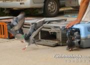 �����¼��ѵ�Ÿ�����Ϫ��(ͼ)