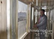 ͨ�ɸ���������������ľ��������(ͼ)