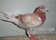 ȫ����û�ľ�ϲ��2�º�ؼ�(ͼ)