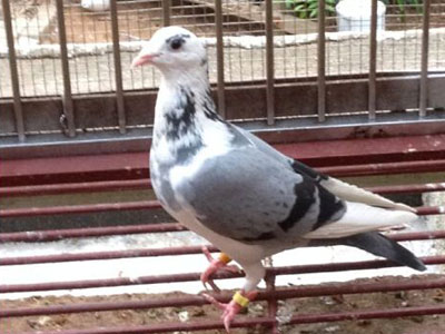 �������û���л� ֻ�о�Ʒ(ͼ)