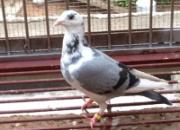 �������û���л� ֻ�о�Ʒ(ͼ)