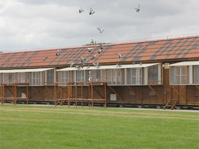 ����ʱ��Ӣ��������������(ͼ) 