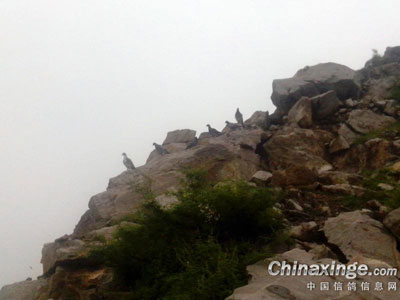 Ұ�����(ͼ)