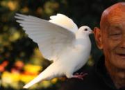 ����С˵����Ҷ���