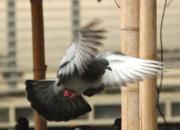 �������ʱ���������ռ�