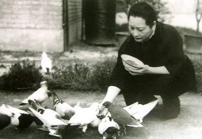 ��ʮ����ĸ�����Ե