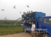 �����Ӹ��80��������ѵ��(ͼ)