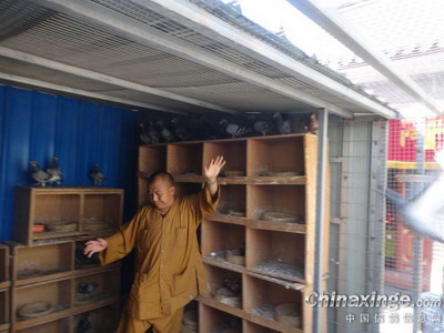 �߷÷��Ÿ��֣�����������Ǿ�(ͼ)