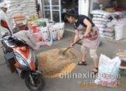 ����С��ȫ�ҳ��� �ʵ����ڲ�(ͼ)