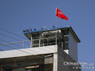 �������룺���������ӡ