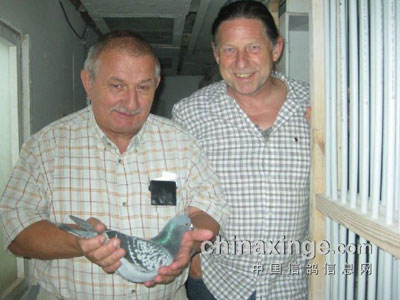 �Ǿ���II��3.5�������������𲮷�(ͼ)