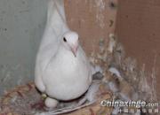 ���¸��� ����׷�(ͼ)