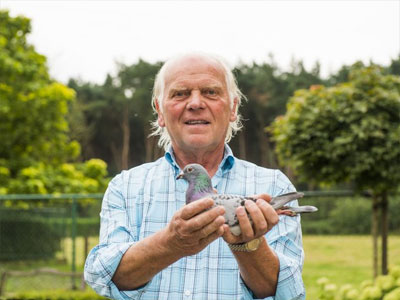 ������.³���������������II����ھ�(ͼ)