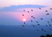 ��̭ʱ�Ĳ���(ͼ)