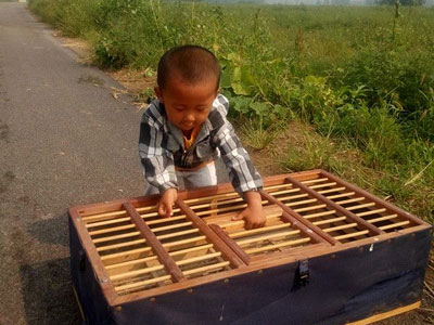 ����С����ѵ��(ͼ)