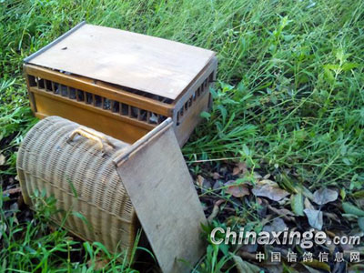 9��1�տ�ѧ�� ��ѵ��(ͼ)