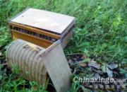 9��1�տ�ѧ�� ��ѵ��(ͼ)