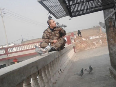 ���115������ֵ���(ͼ)