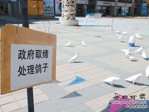 �㳡���� ������ƽ�뽫�����в�(ͼ)