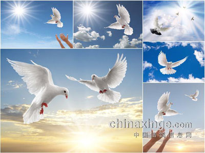 �����˵�����