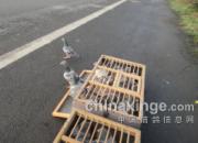 ������һѵ����զ���ɣ�(ͼ)