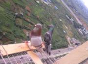 ��̨�￪�� ���ָ�ȫ����(ͼ)