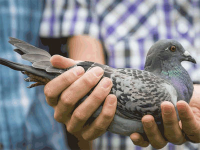 ����ʱ�������չ�վ ���ע��ӳ���7�ս���